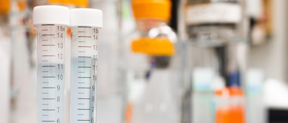 two-test-tubes-954585-banner-980x418.jpg